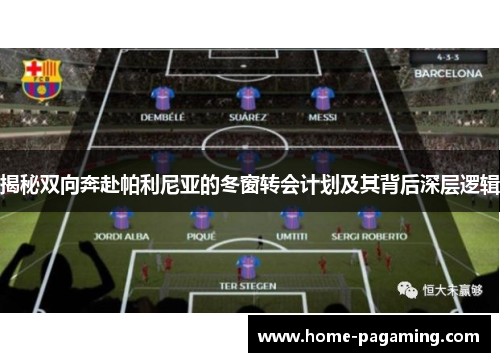 揭秘双向奔赴帕利尼亚的冬窗转会计划及其背后深层逻辑