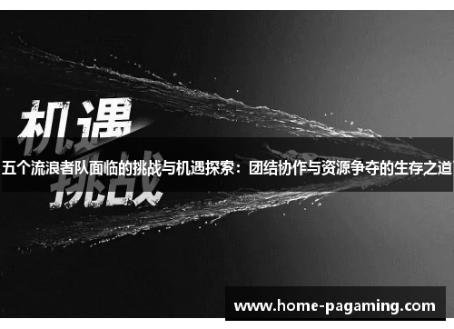 五个流浪者队面临的挑战与机遇探索：团结协作与资源争夺的生存之道