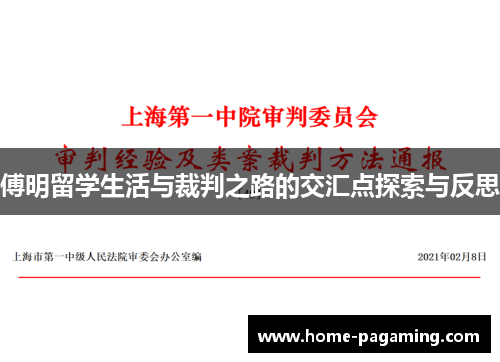 傅明留学生活与裁判之路的交汇点探索与反思