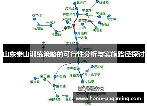 山东泰山训练策略的可行性分析与实施路径探讨