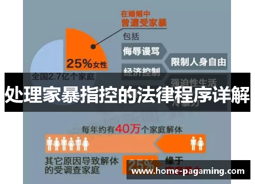 处理家暴指控的法律程序详解