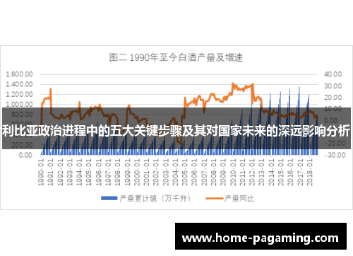 利比亚政治进程中的五大关键步骤及其对国家未来的深远影响分析
