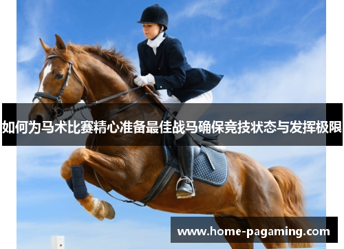 如何为马术比赛精心准备最佳战马确保竞技状态与发挥极限