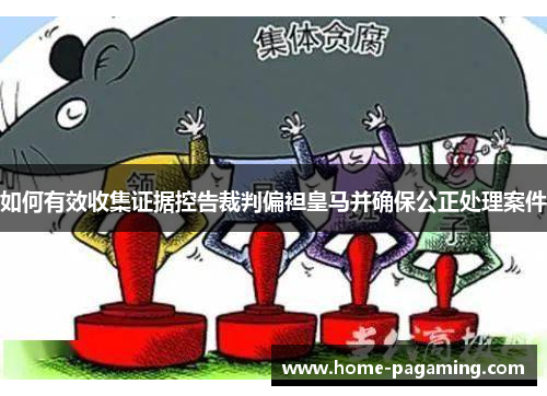 如何有效收集证据控告裁判偏袒皇马并确保公正处理案件