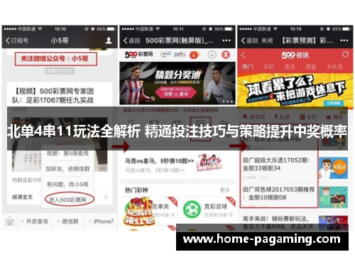 北单4串11玩法全解析 精通投注技巧与策略提升中奖概率