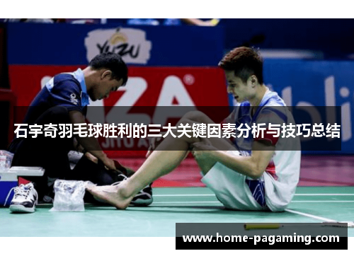 石宇奇羽毛球胜利的三大关键因素分析与技巧总结