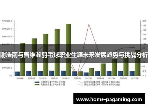 谢浩南与曾维瀚羽毛球职业生涯未来发展趋势与挑战分析